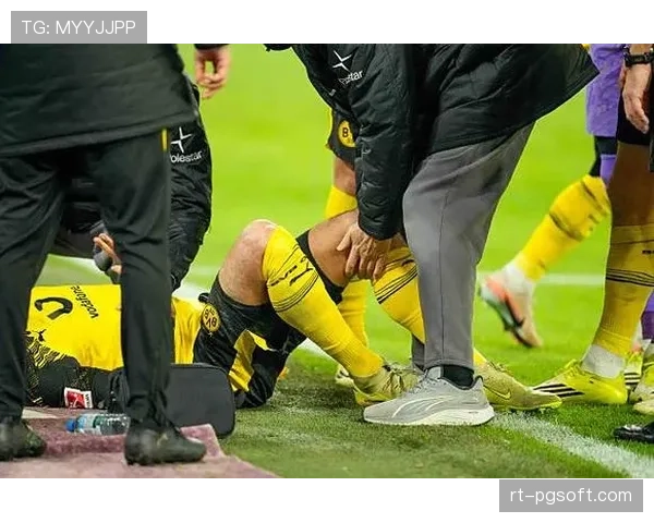 欧足联计划发布站席新规，多特蒙德南看台需整改